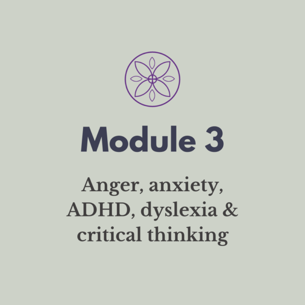 Module 3:  Helping your teen - anger, anxiety, ADHD, dyslexia, negative self-talk